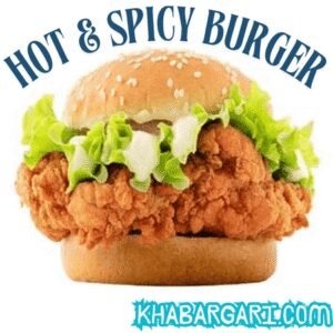 HOT & SPICY BURGER